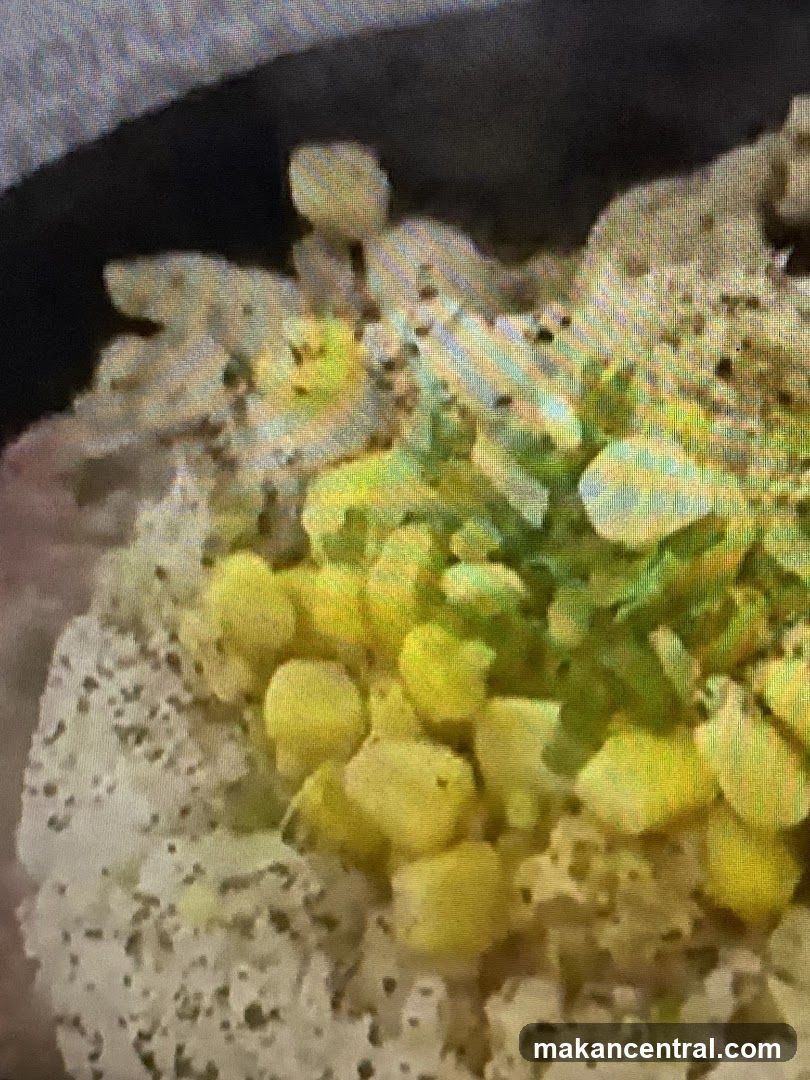 Corn and Rice Dish