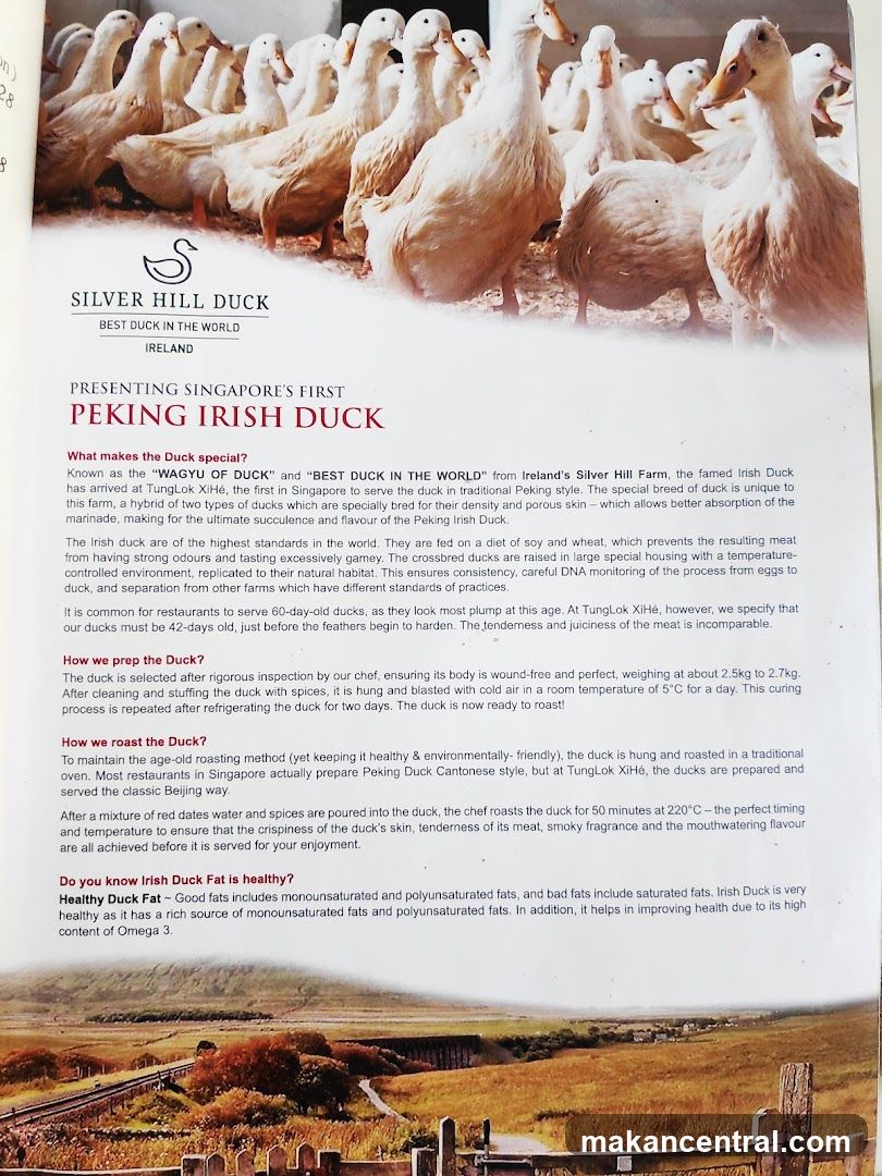 Peking Irish Duck Information