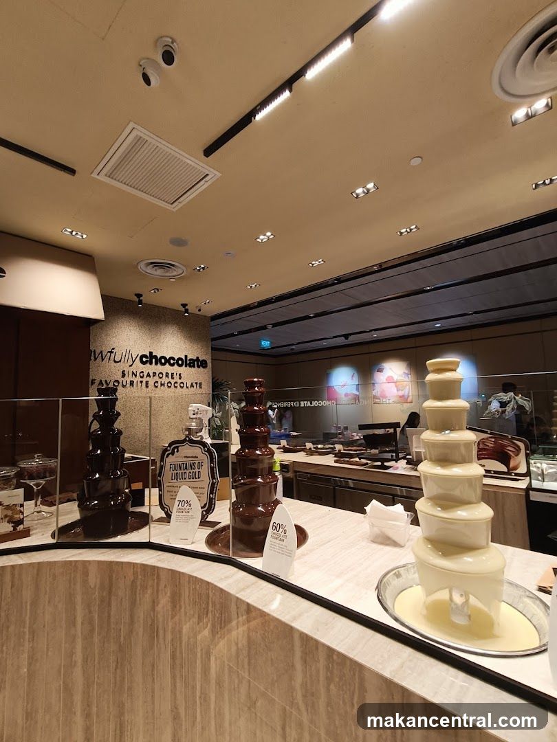 Chocolate Fountains