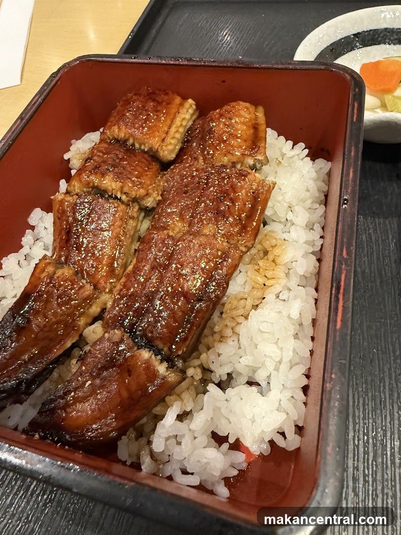 Unagi Donburi