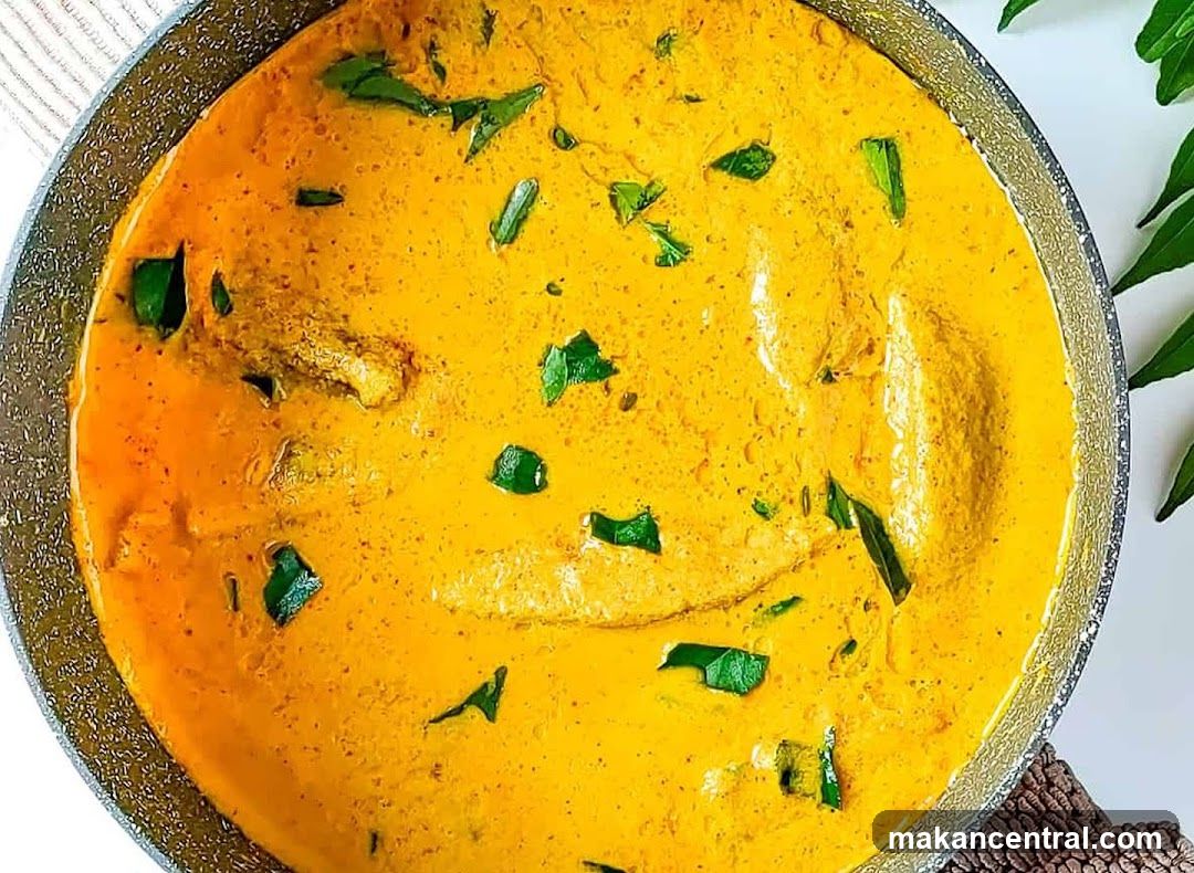 Creamy Curry Dish