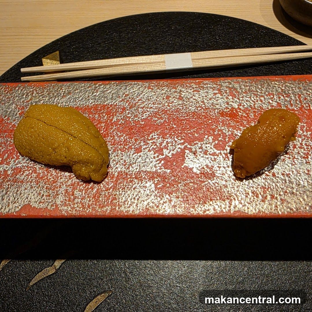 Sea Urchin