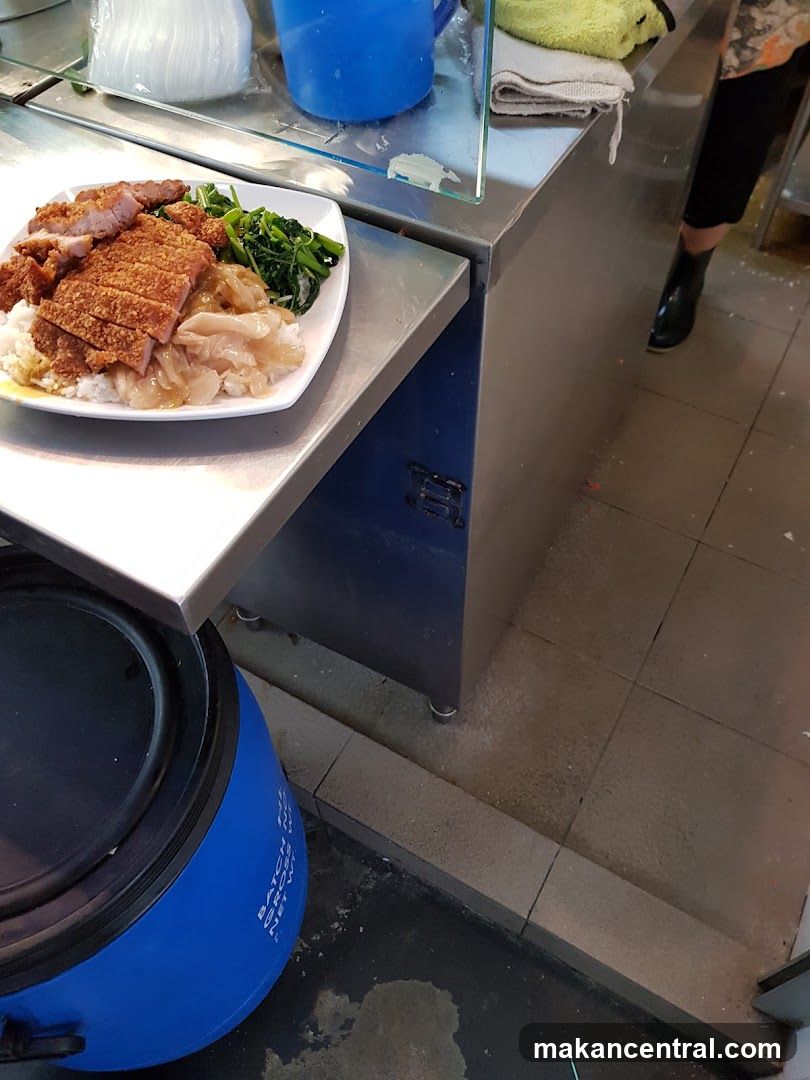 Crispy Pork Rice