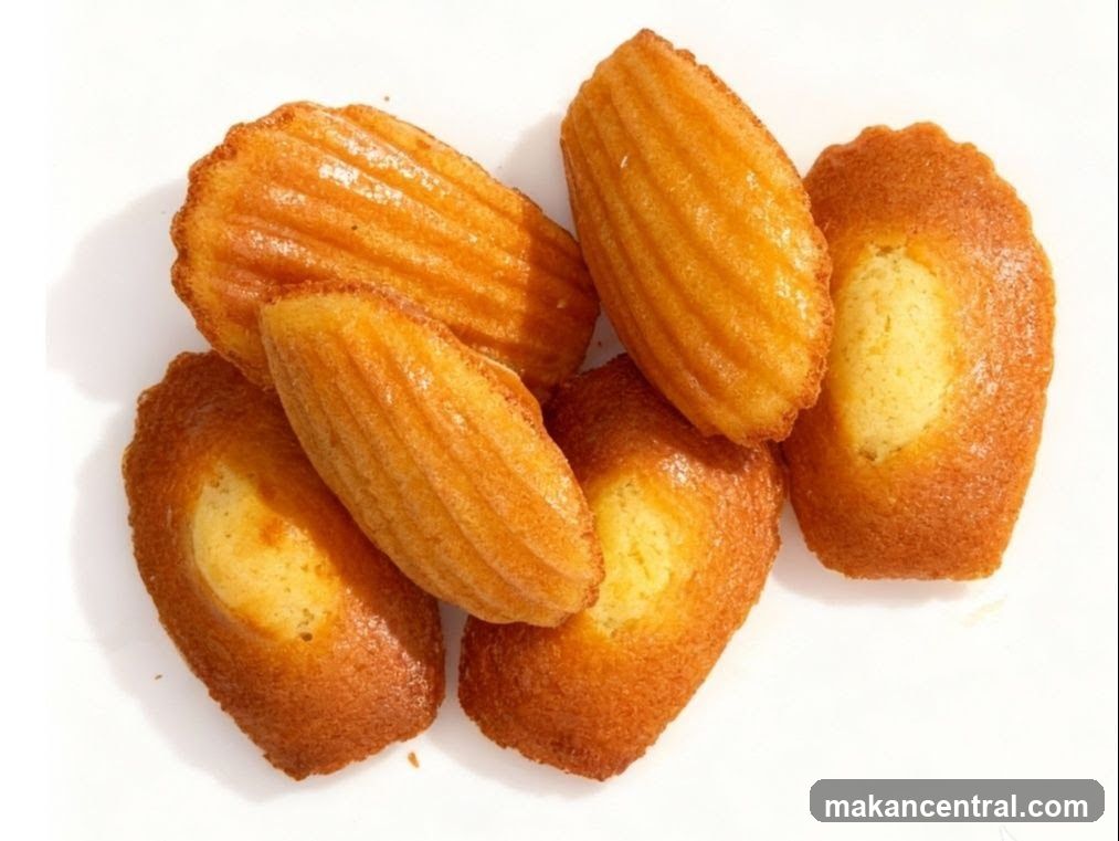 Madeleines