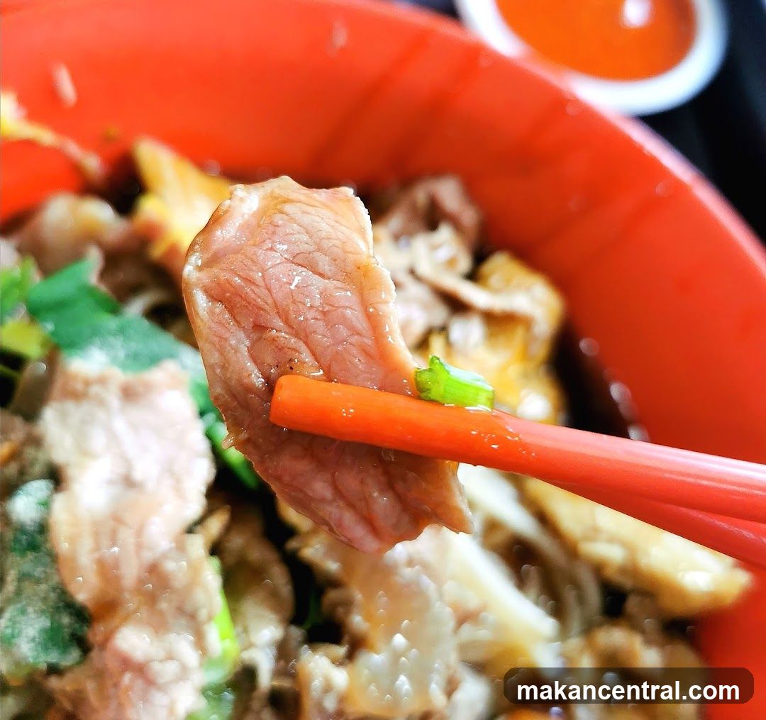 Close-up of Duck Noodles