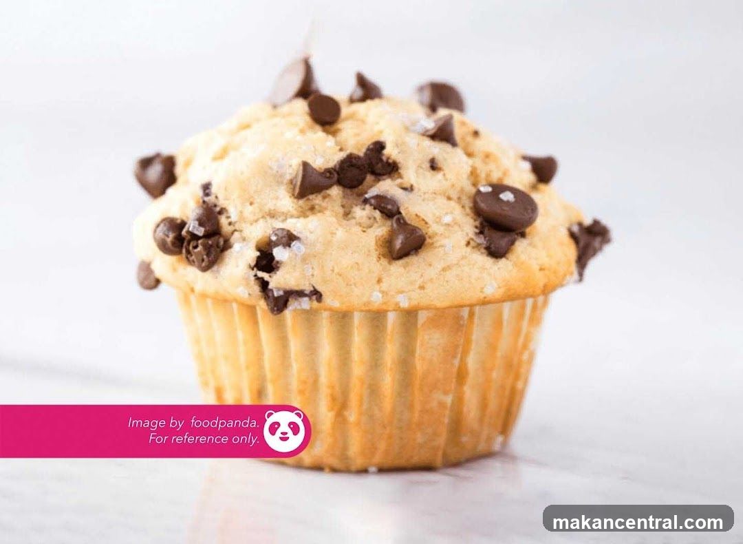 Chocolate Chip Muffin