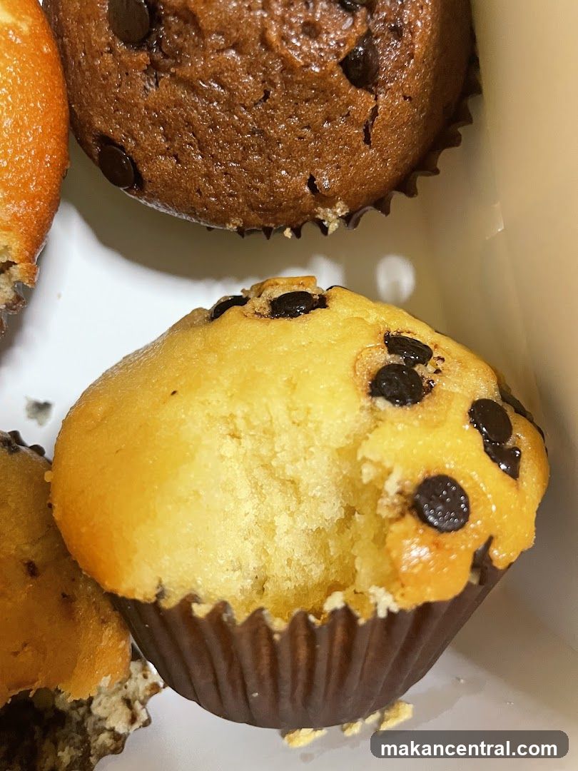 Chocolate Chip Muffins
