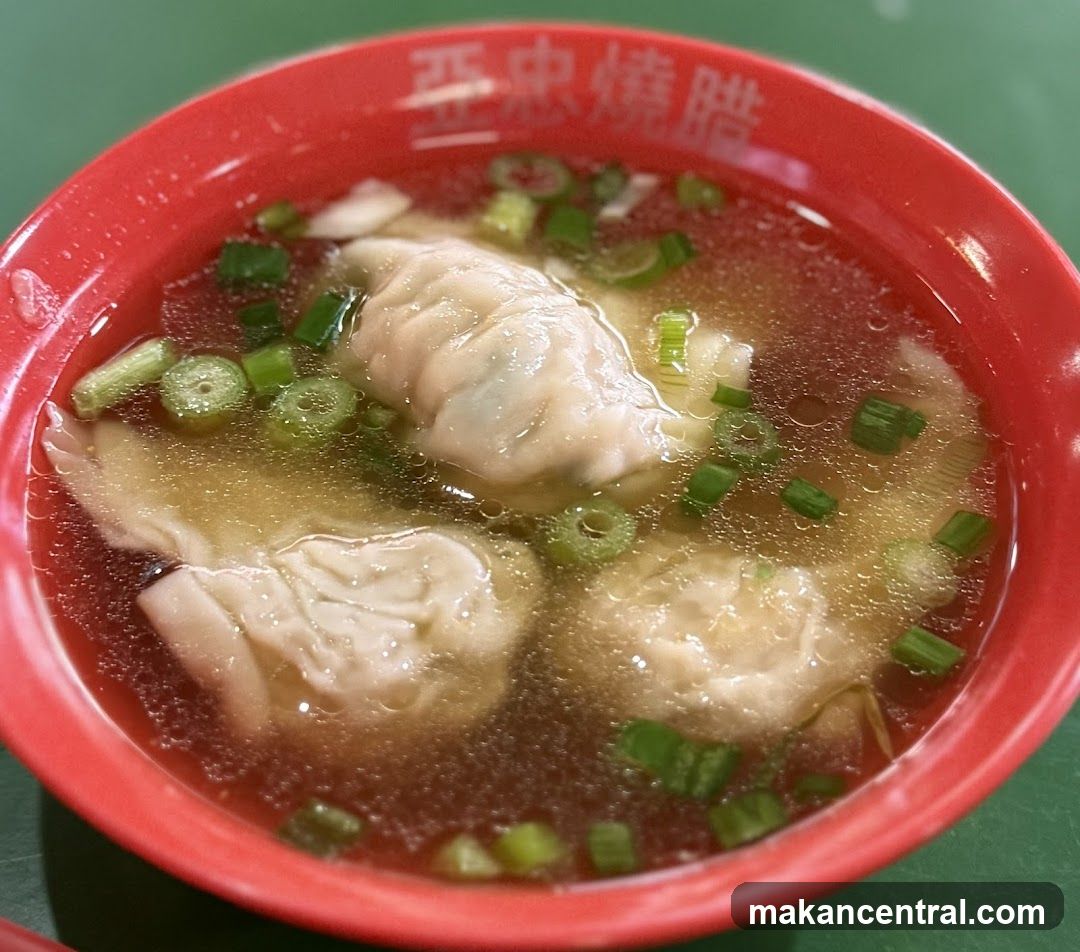 Wonton Soup