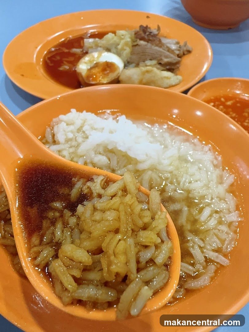 Rice with Braised Meat and Egg