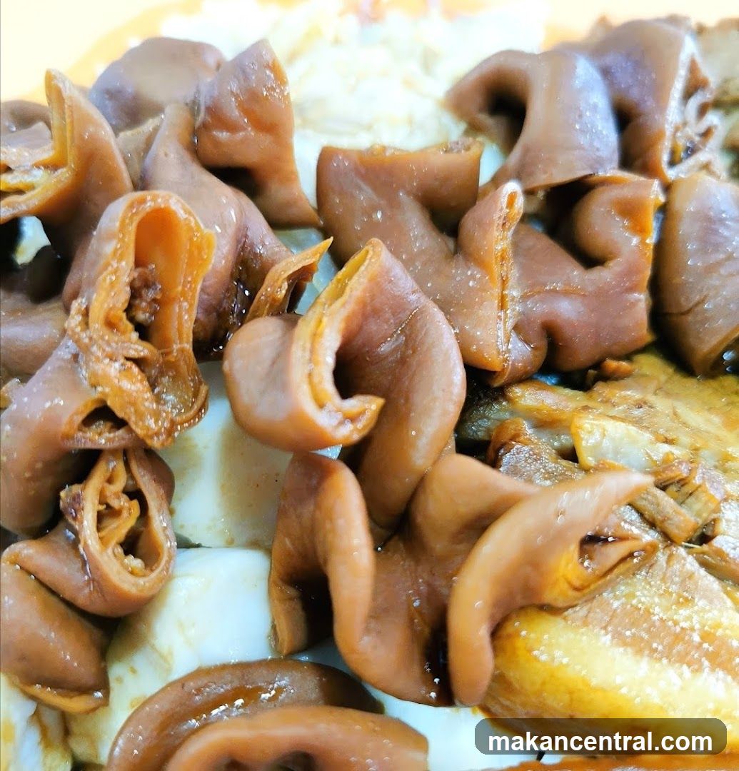 Braised Pork Intestines