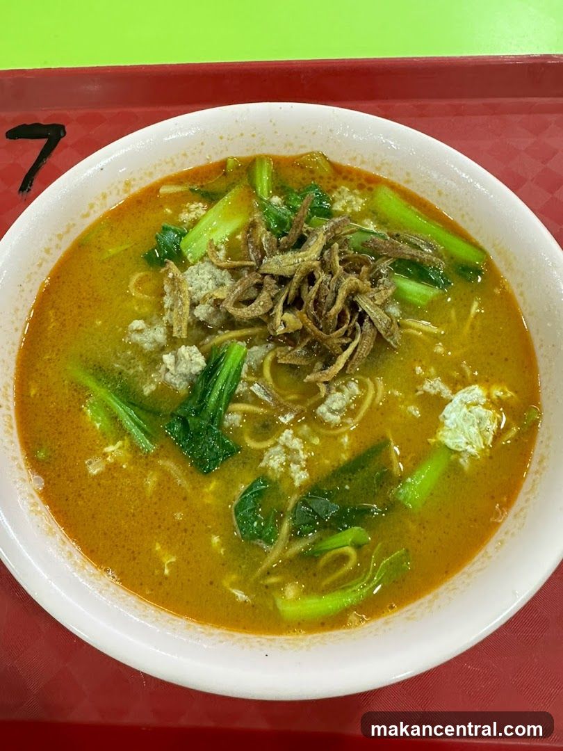 Noodle Soup with Vegetables and Minced Meat