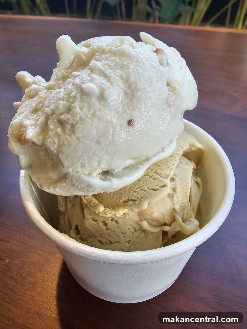 Two Scoops of Ice Cream