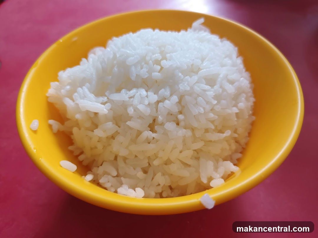 Bowl of Rice