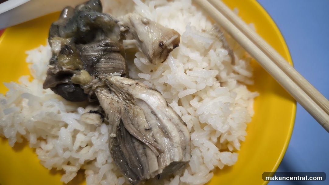 Oysters and Rice