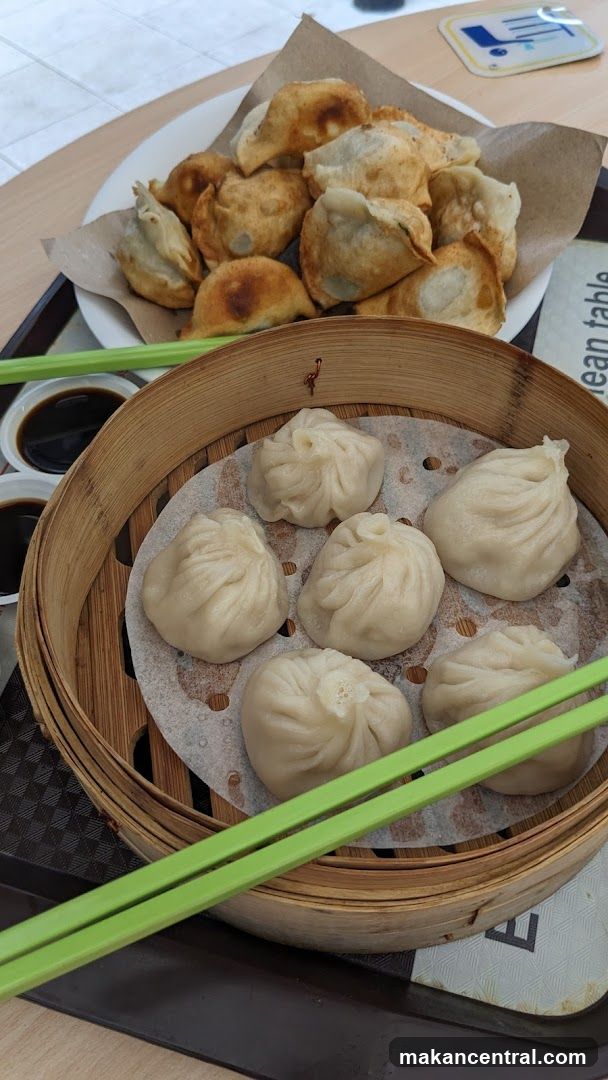 Steamed and Fried Dumplings