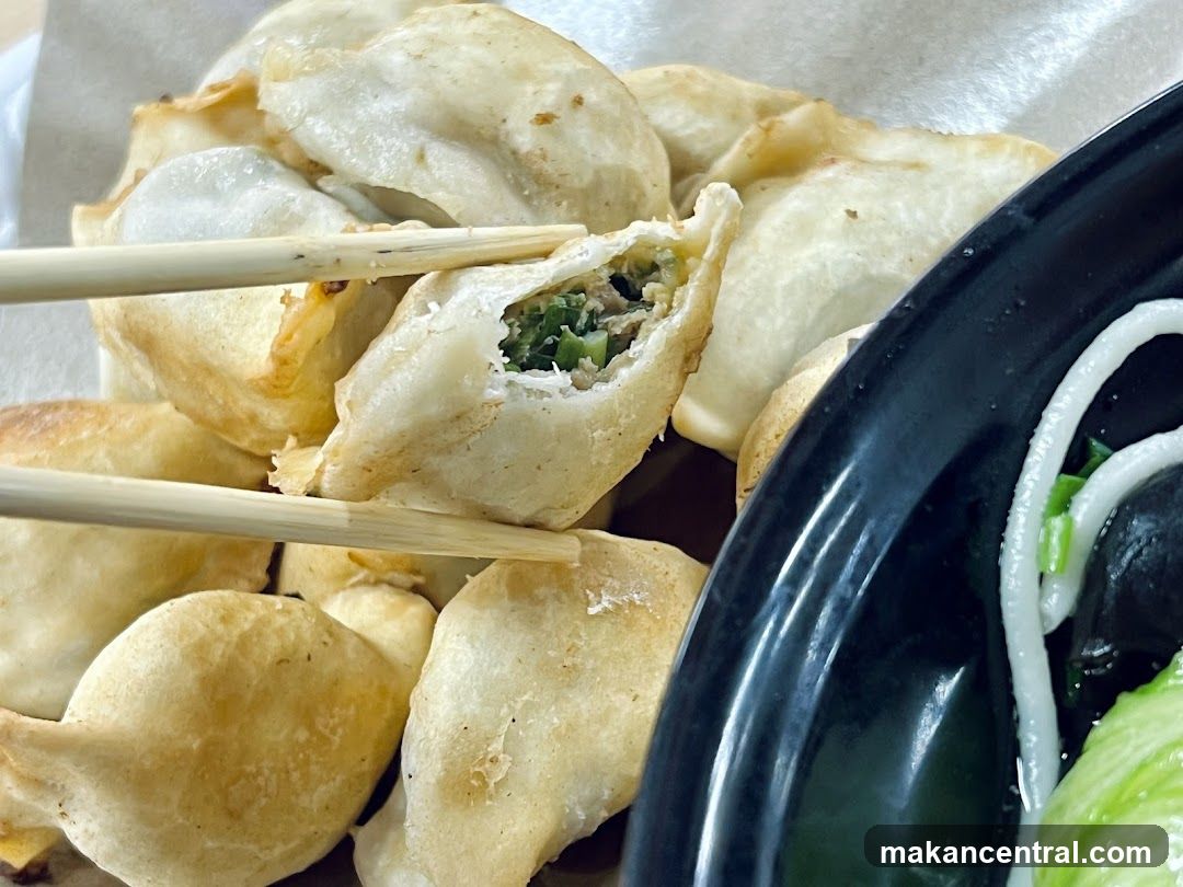 Fried Dumplings