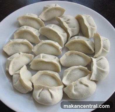 Plate of Dumplings