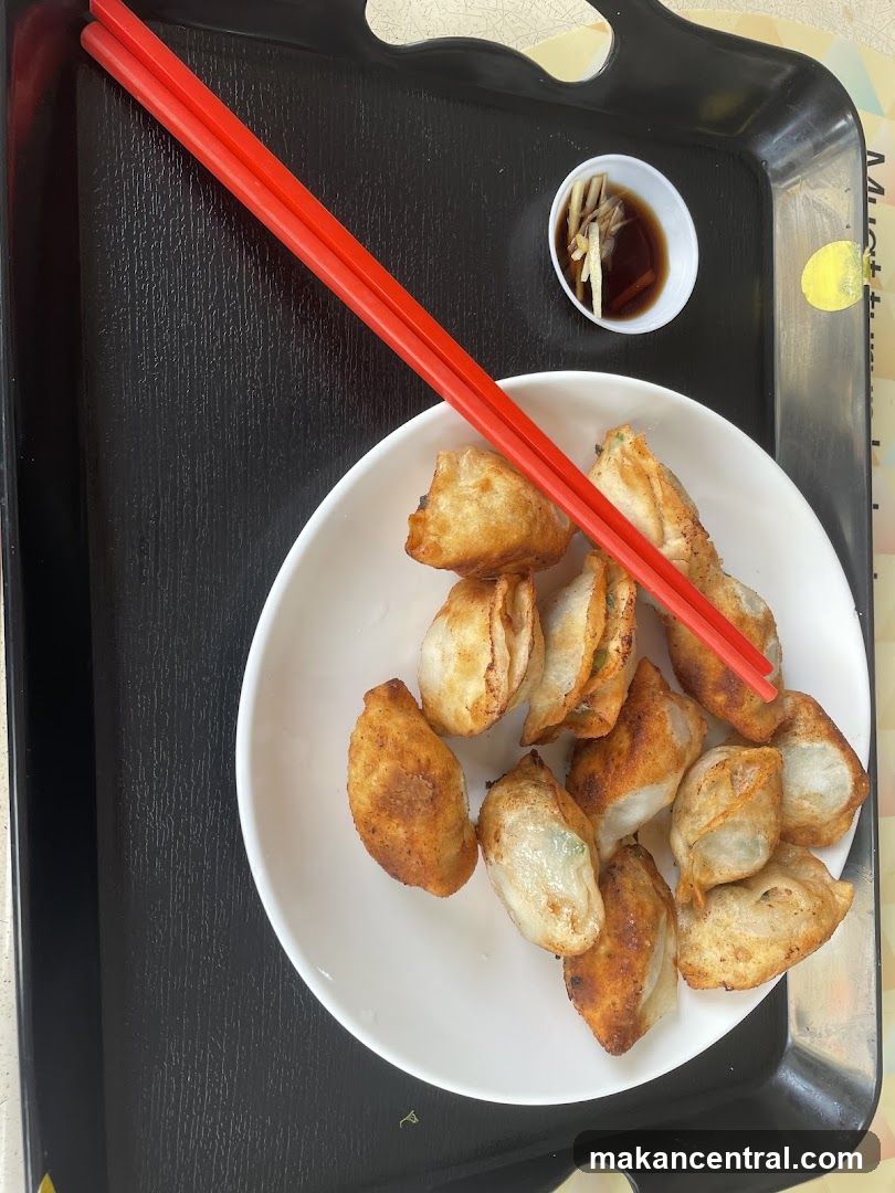 Fried Dumplings