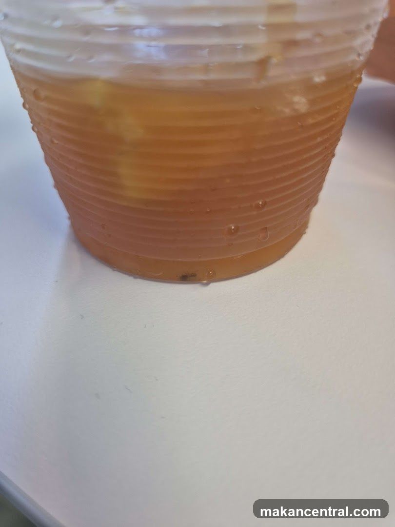 Iced Tea in a Plastic Cup
