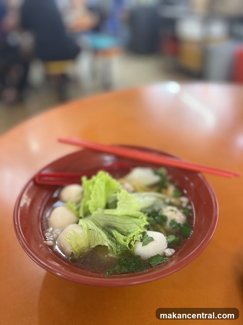Tanjong Pagar Teo Chew Fishball Noodle