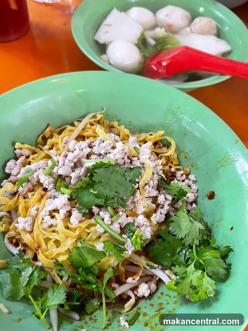 Minced Pork Noodles and Fish Ball Soup