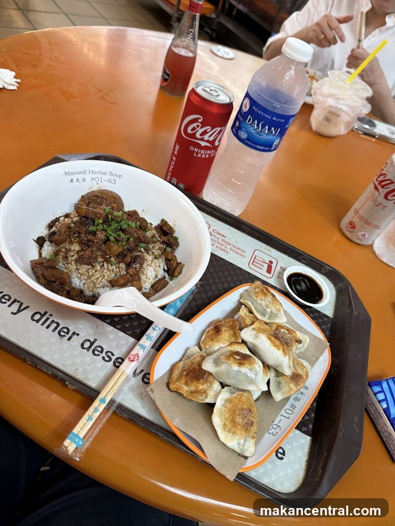 Food Tray with Braised Pork Rice and Dumplings