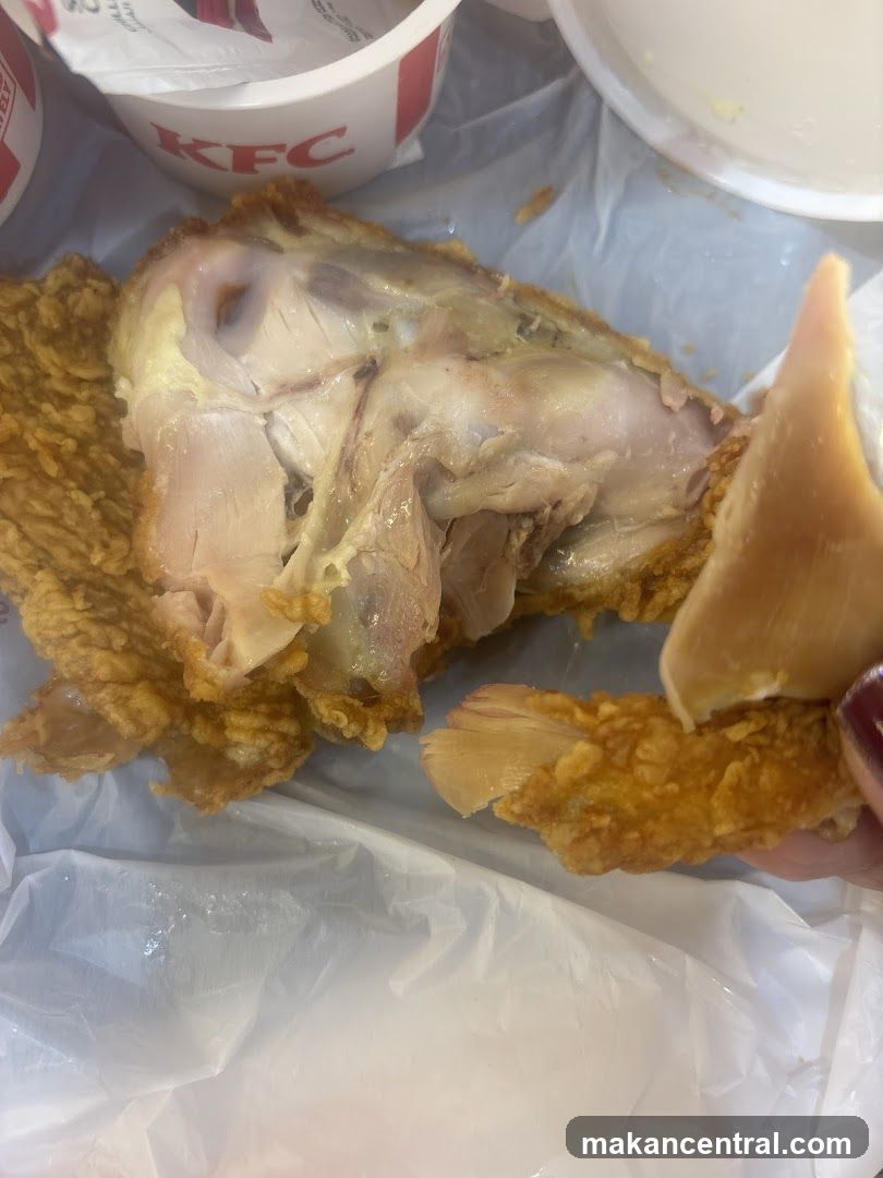 Fried Chicken Piece