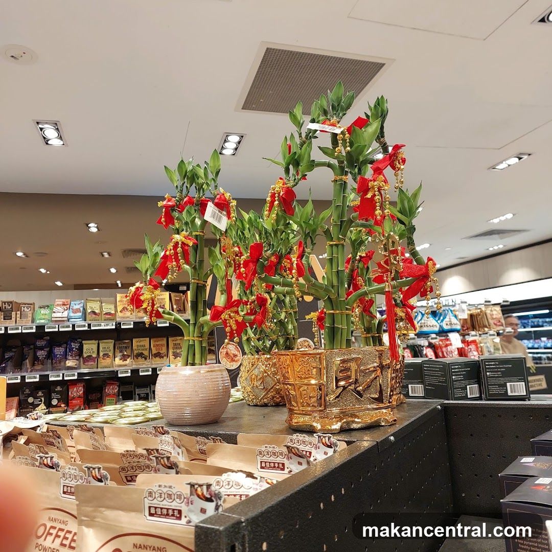 Decorated Lucky Bamboo Plants