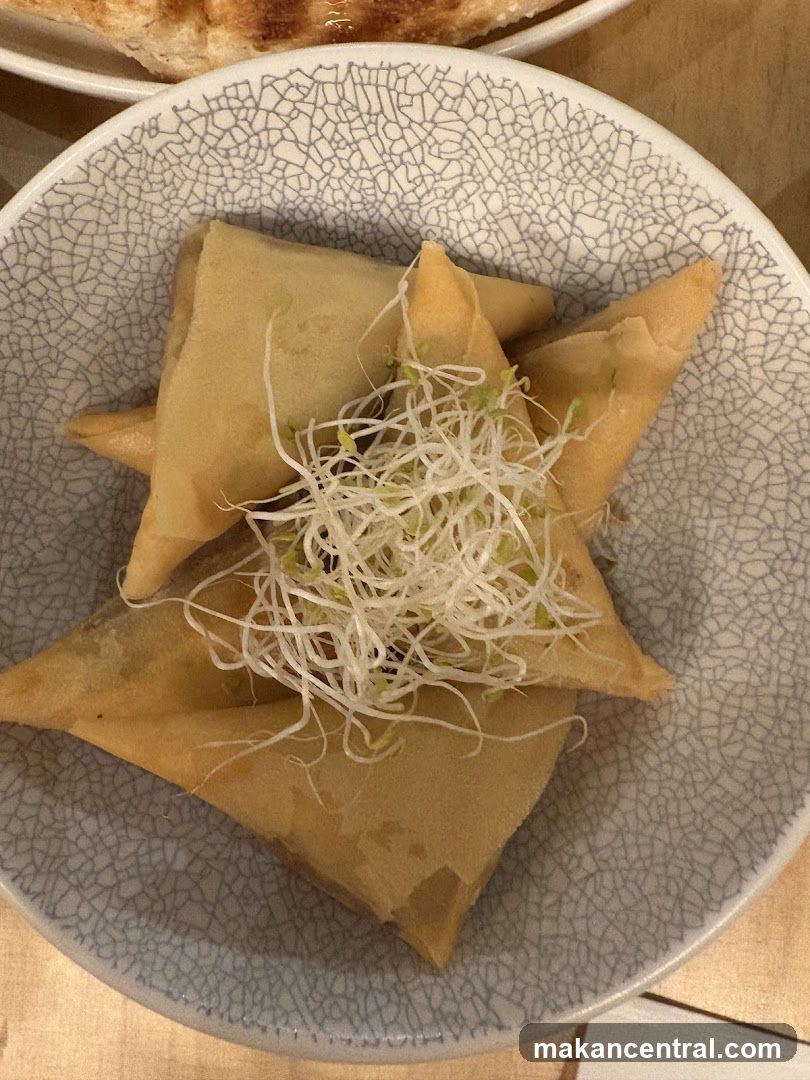 Samosas with Sprouts