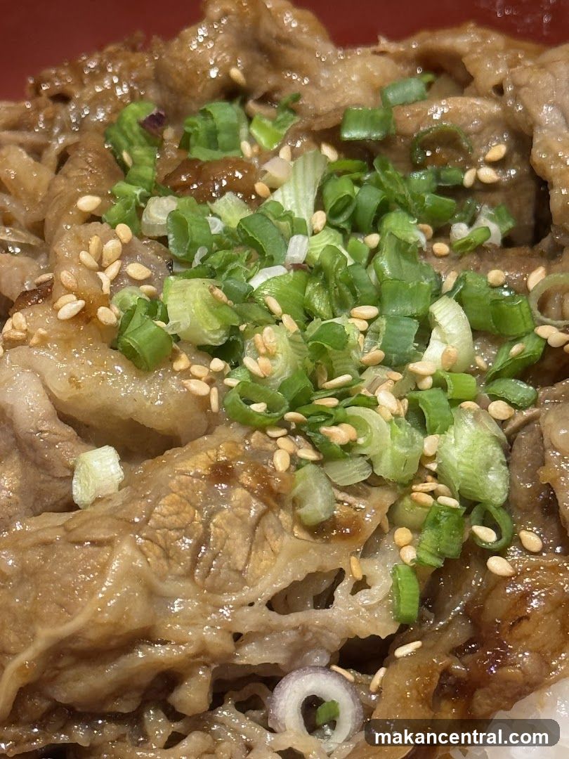 Beef Bowl