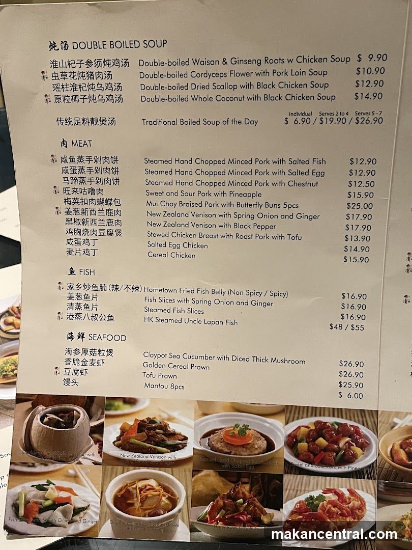 DOUBLE BOILED SOUP