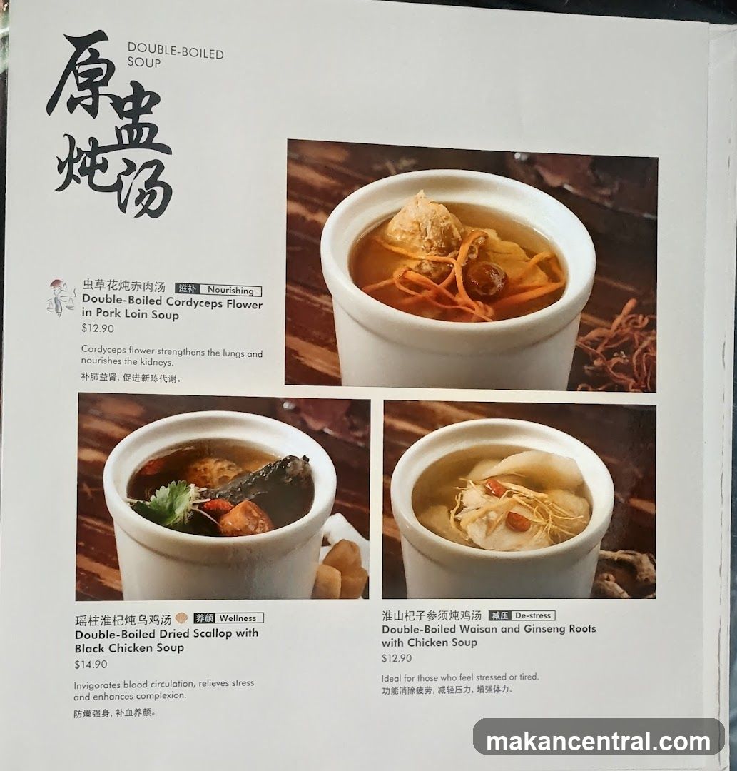 DOUBLE-BOILED SOUP
