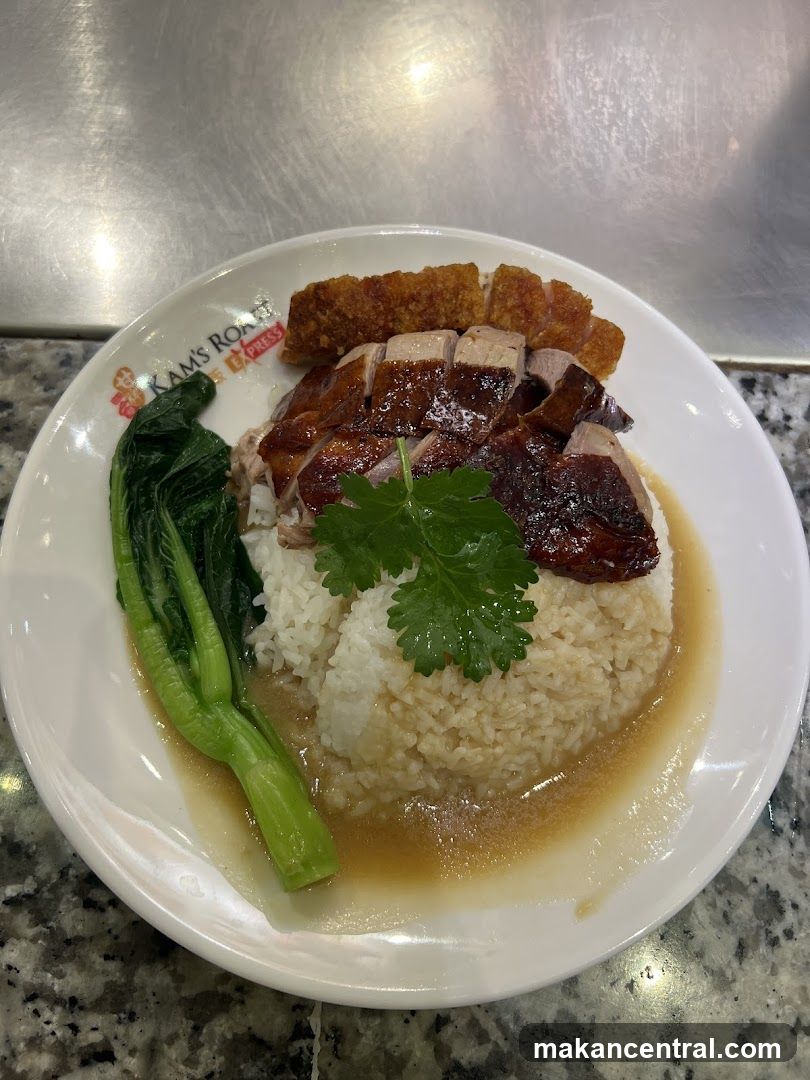 Roast Duck and Crispy Pork Belly Rice