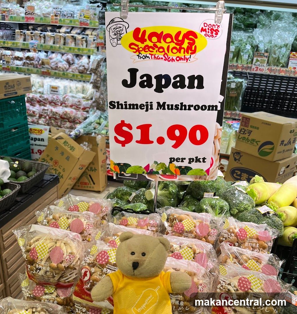 Japan Shimeji Mushroom Display