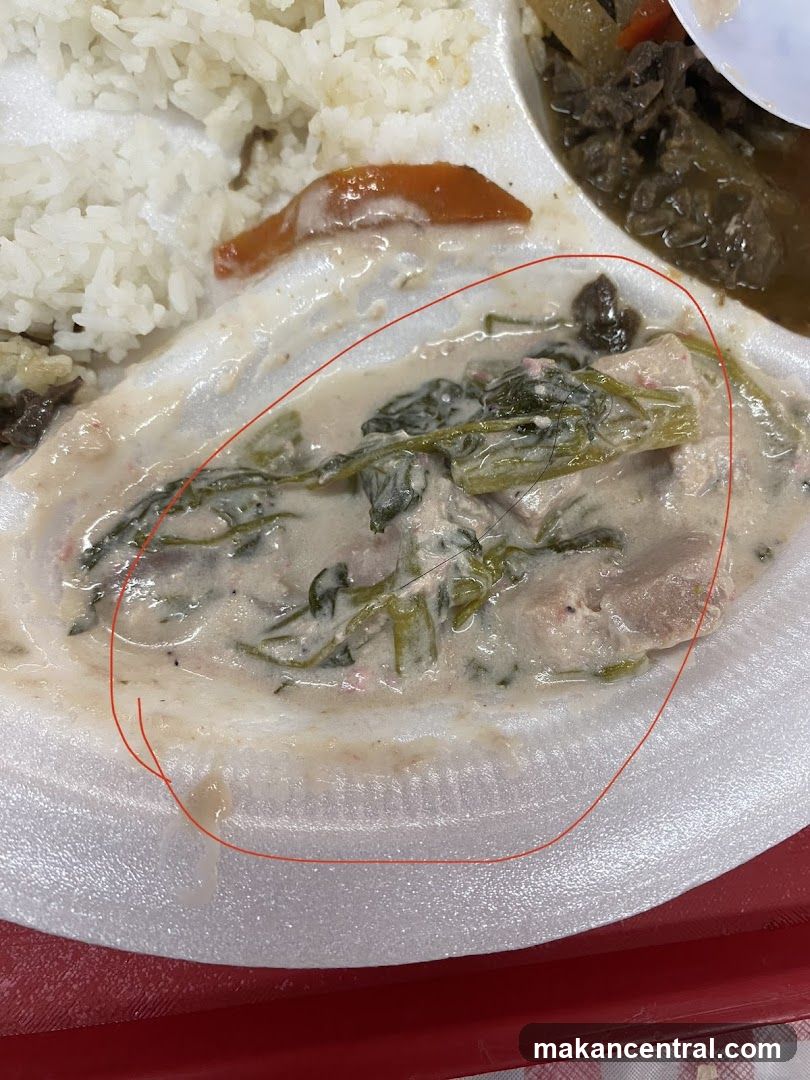 Food Plate