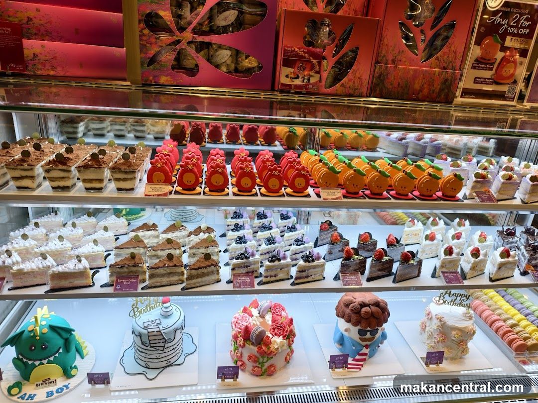 Cake Display Case