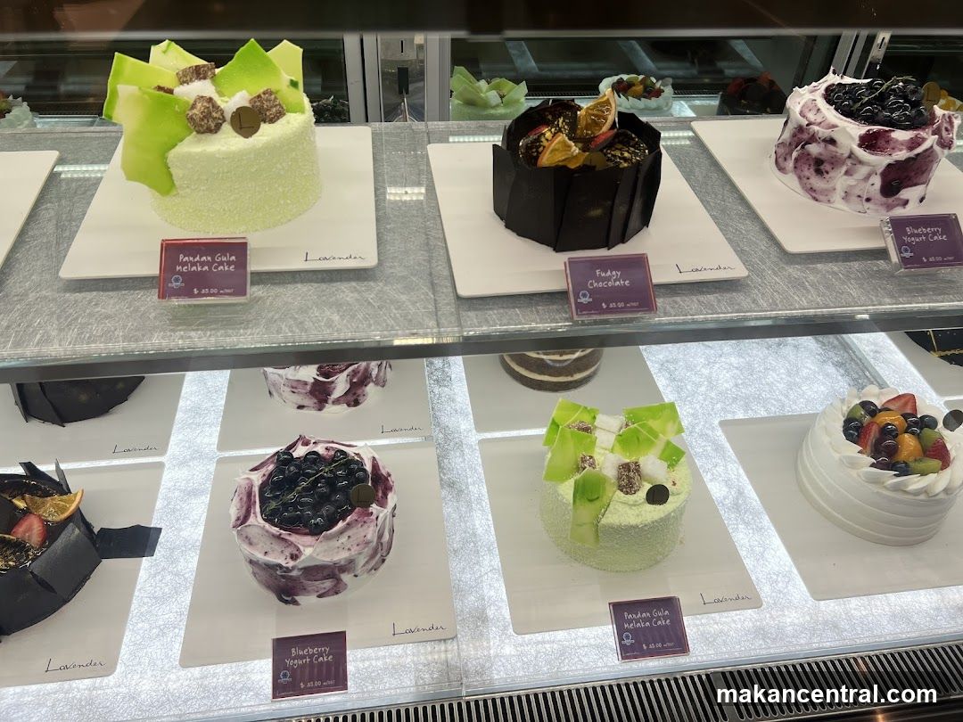 Cake Display Case