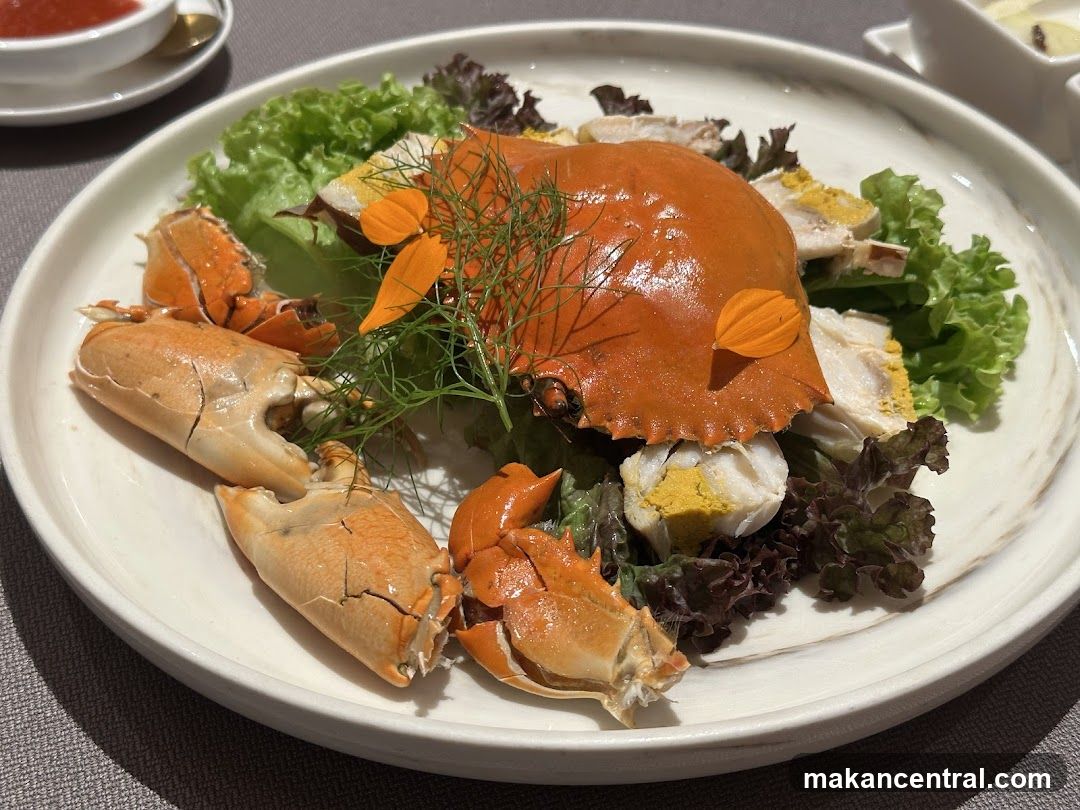 Dish Presentation