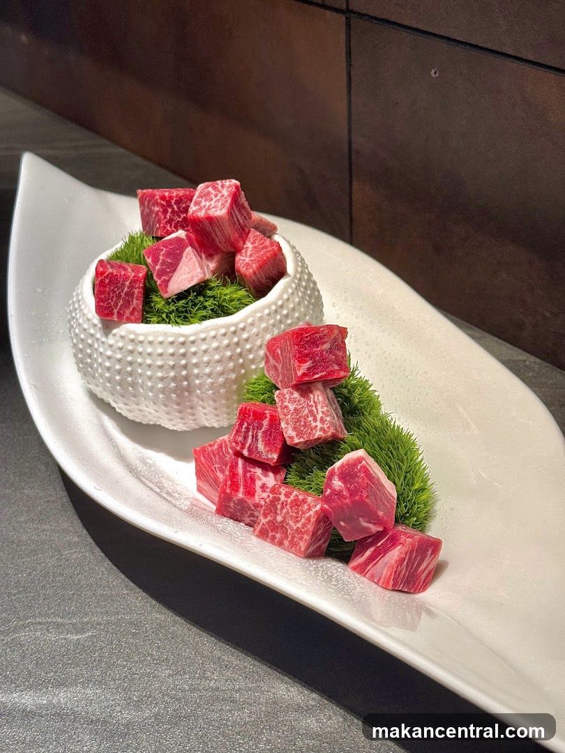 Raw Meat Presentation