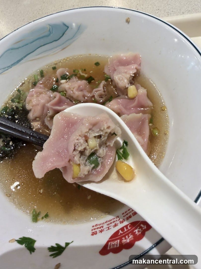 Dumpling Soup