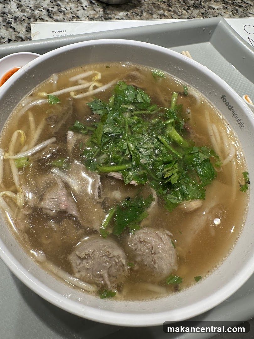 Bowl of Noodle Soup