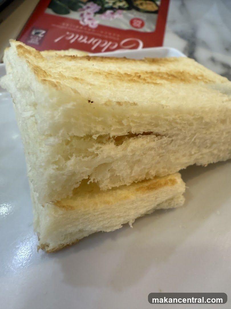 Toasted Bread Slice