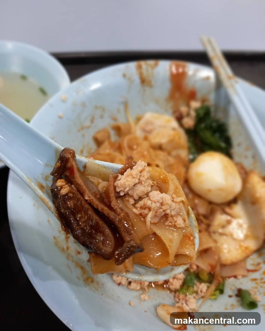 Traditional Teochew Handmade Fishball Noodle
