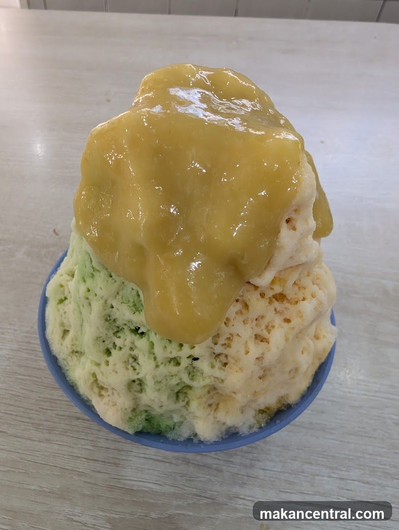 Bowl of shaved ice dessert