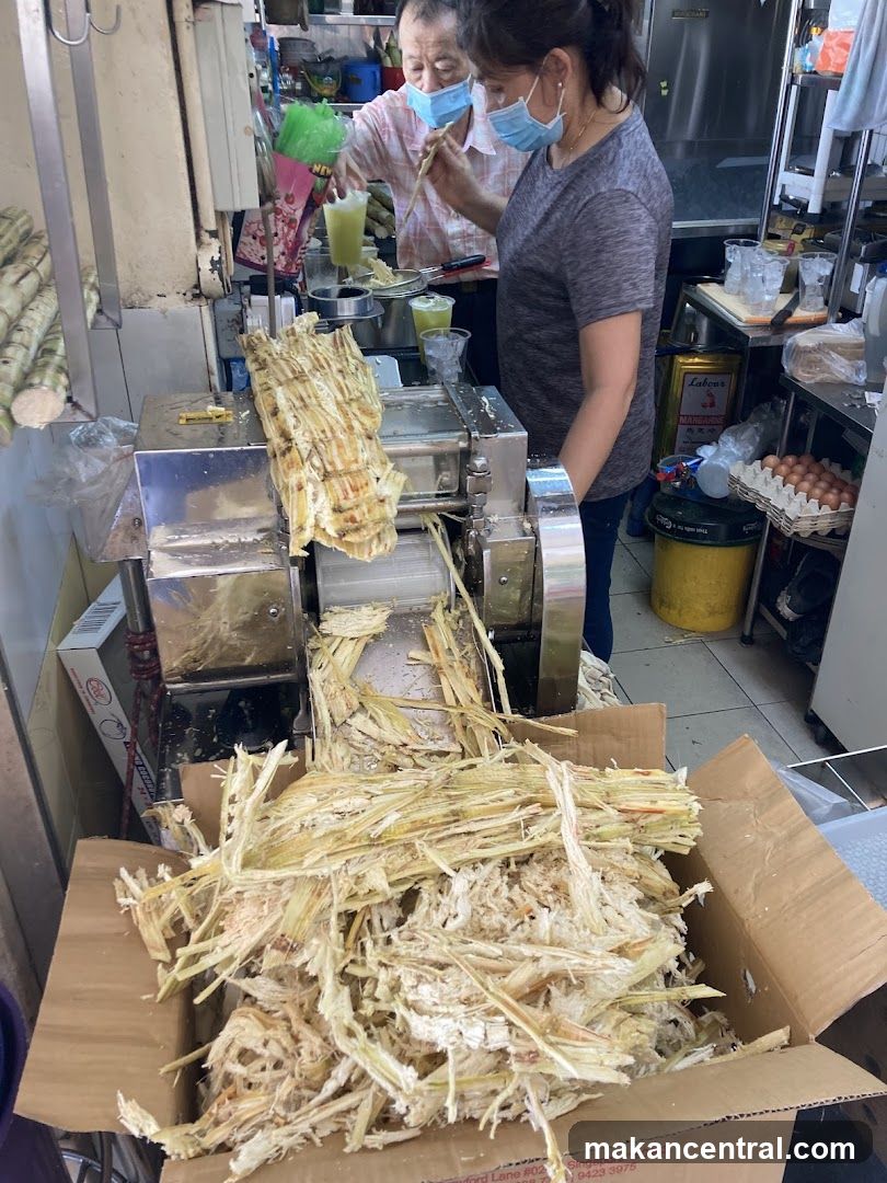 Sugar cane processing station