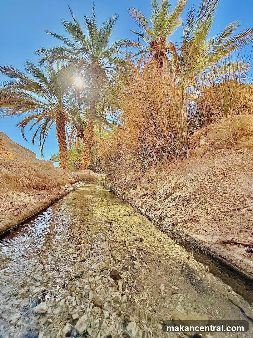 Palm Trees and Stream in Desert Landscape