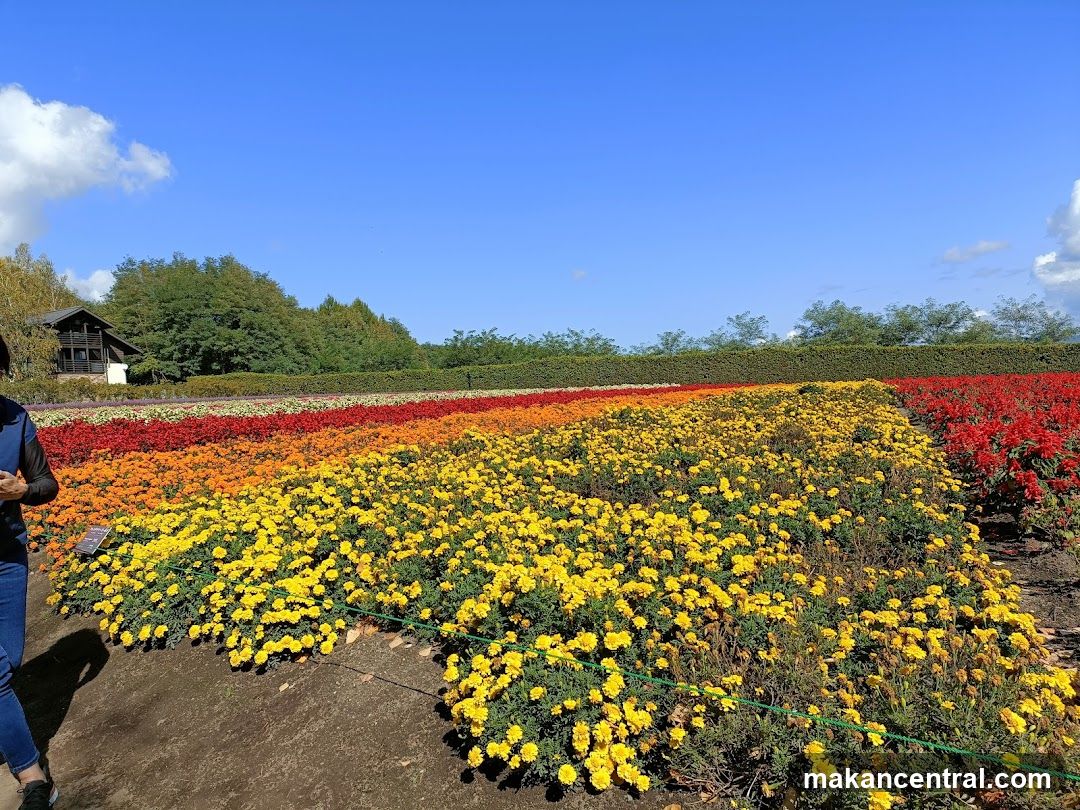 Flower Garden View