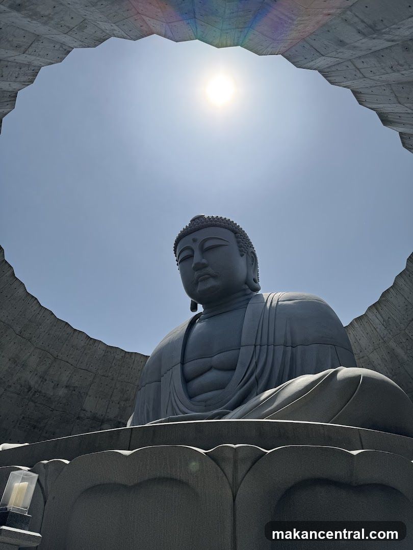 Buddha Statue View