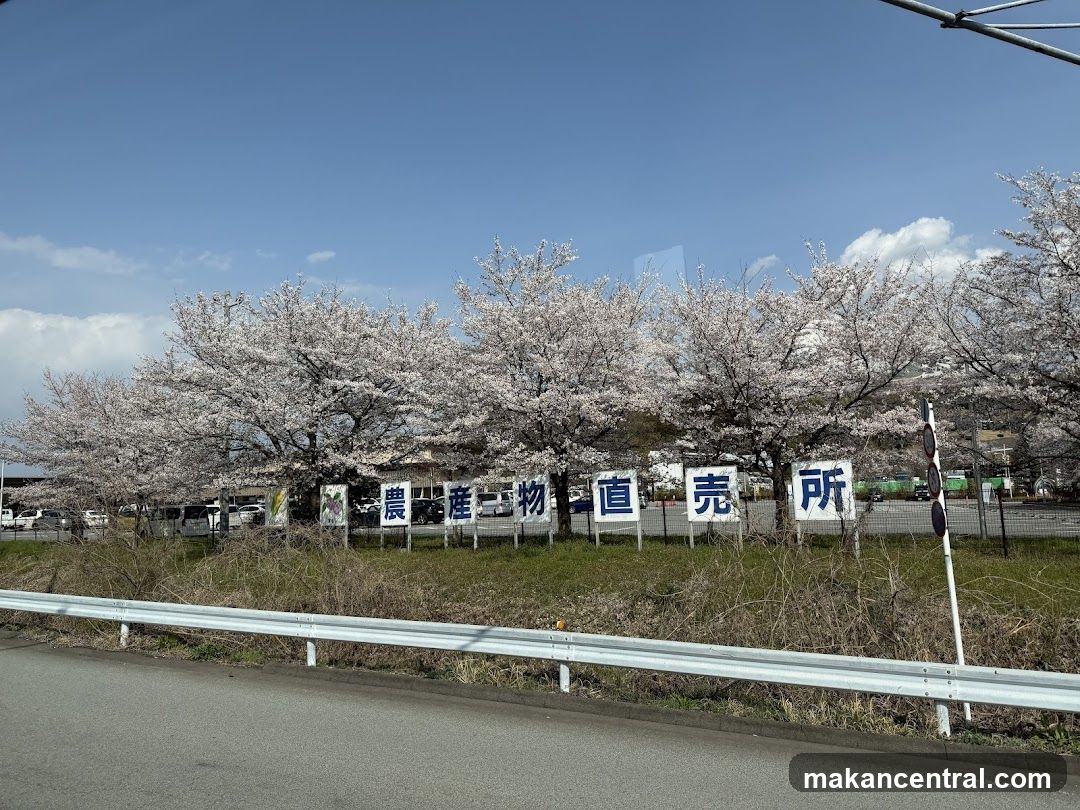 Cherry Blossom Trees with Agricultural Market Signage