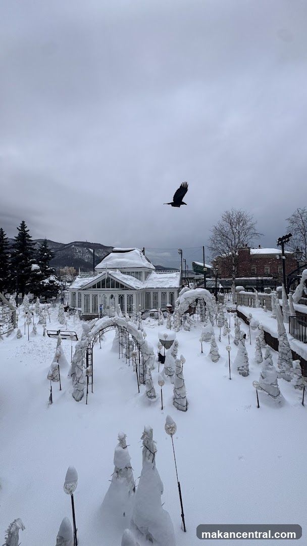Snowy Garden Scene